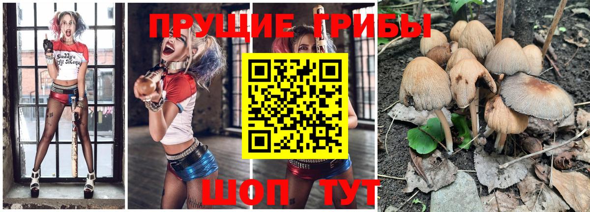 хочу наркоту  Галлюциногенные грибы мицелий  Вход с VPN  Протвино 